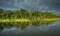Il luogo con maggiore biodiversità al mondo