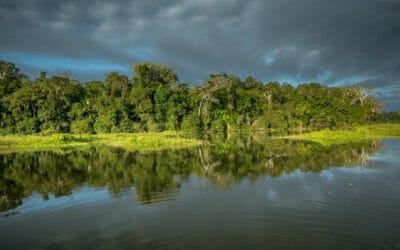 Il luogo con maggiore biodiversità al mondo