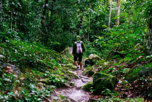 Guida al trekking: per riscoprire un turismo tranquillo nella natura ricco di benefici per corpo e mente