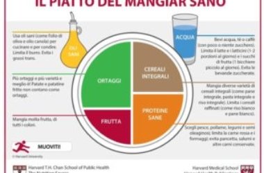 Da Harvard il piatto del mangiare sano, un metodo empirico molto semplice per mangiare meglio