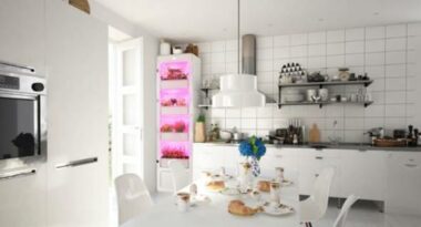 Arriva MiobiO, la serra indoor per coltivare piante ed erbe senza fatica