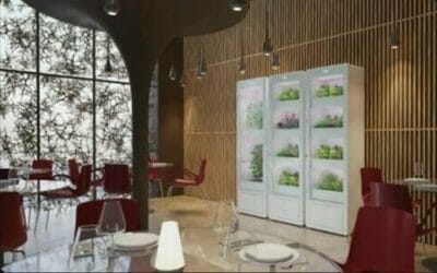 Arriva MiobiO, la serra indoor per coltivare piante ed erbe senza fatica