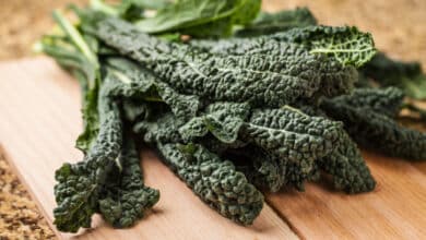 cavolo nero