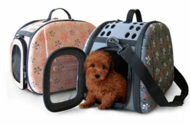 Tutto sul trasportino per il tuo cane, pro e contro e tanti modelli recensiti con prezzi ed offerte