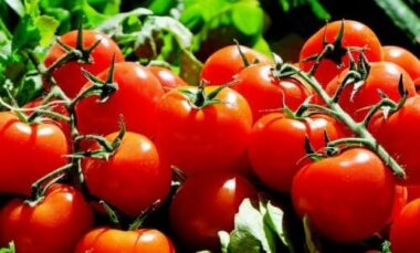 La consociazione tra ortaggi è una strategia utile per l’orto biologico perfetto