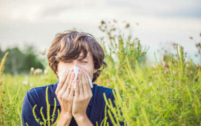 Cure e rimedi naturali per prevenire ed alleviare i sintomi dell’allergia