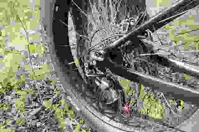 Mountain bike: i diversi tipi di MTB e le cose da sapere su questa  disciplina