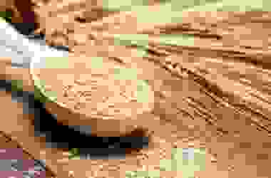 Crusca, tutto quello che c’è da sapere