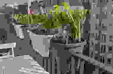 Le piante da balcone: le varietà più adatte