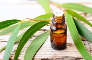 Scopriamo benefici, proprietà, effetti collaterali ed utilizzi dell’olio essenziale di eucalipto