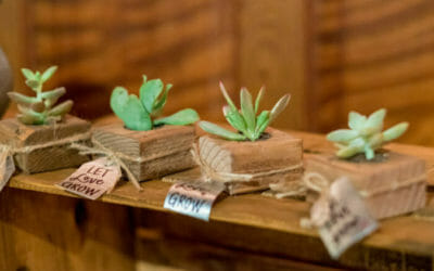 Le bomboniere ecologiche per un matrimonio davvero green: la guida pratica