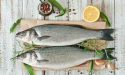 Pesce, tutto quello che dovete sapere su questo alimento fondamentale per una dieta equilibrata