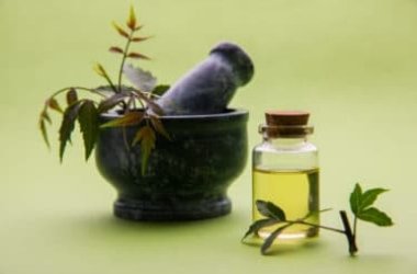 Ce qu'il faut savoir sur l'huile de Neem : propriétés, bienfaits, comment la conserver et contre-indications