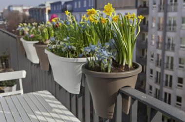Le piante da balcone: le varietà più adatte