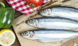 Il pesce azzurro fa davvero bene? Ecco quali sono le specie da conoscere.