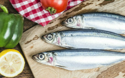 Il pesce azzurro fa davvero bene? Ecco quali sono le specie da conoscere.