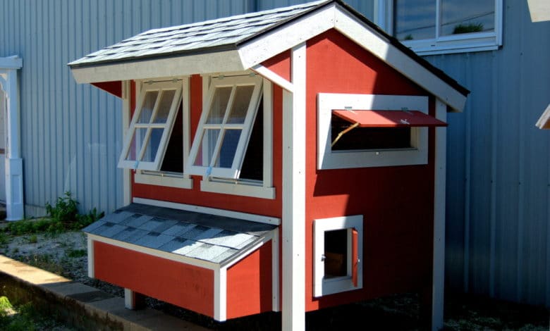 Come costruire un pollaio