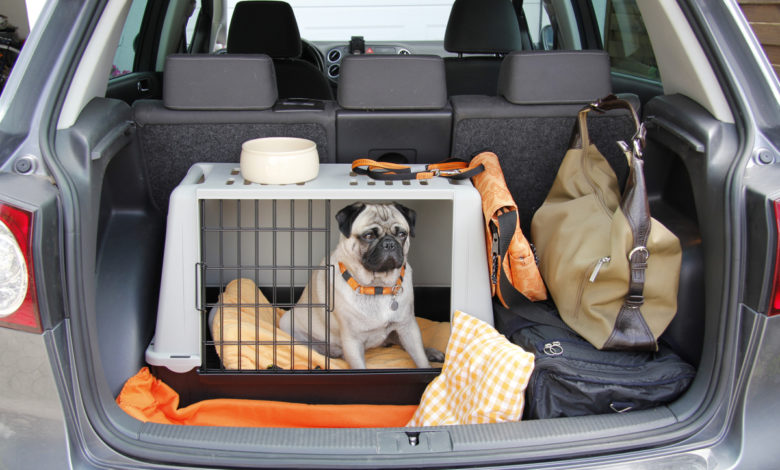 trasportino per cani