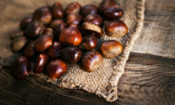 Castagne: le loro proprietà e le migliori ricette che possiamo preparare