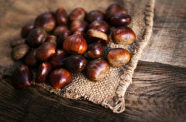 Castagne: le loro proprietà e le migliori ricette che possiamo preparare