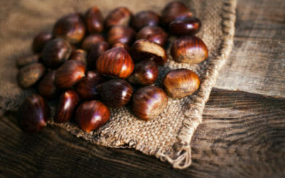 Castagne: le loro proprietà e le migliori ricette che possiamo preparare