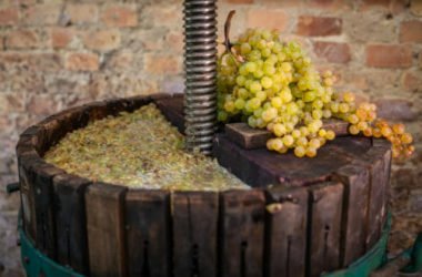 Mosto d’uva, lo conosci veramente? Ecco di segreti di questa bevanda e come si può usare