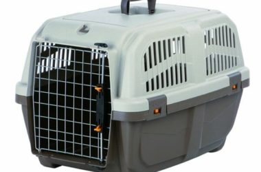 Tutto sul trasportino per il tuo cane, pro e contro e tanti modelli recensiti con prezzi ed offerte