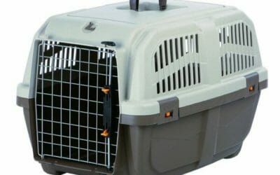 Tutto sul trasportino per il tuo cane, pro e contro e tanti modelli recensiti con prezzi ed offerte