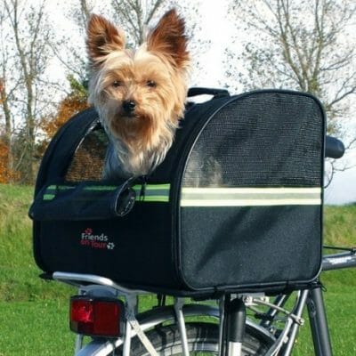 trasportino per cani