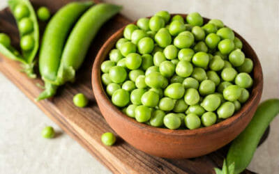 Come cucinare le fave, proprietà, controindicazioni, benefici e ricette consigliate