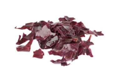 Tutto sull’alga dulse, un’alga ricca di proteine e vitamine che ricorda il sapore del bacon