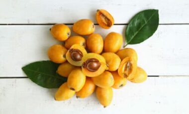 Tutte le proprietà, i benefici e gli utilizzi delle nespole