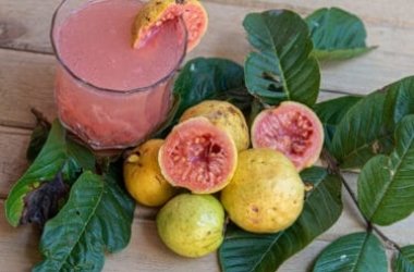 Goyave: un fruit tropical aux propriétés anti-oxydantes intéressantes