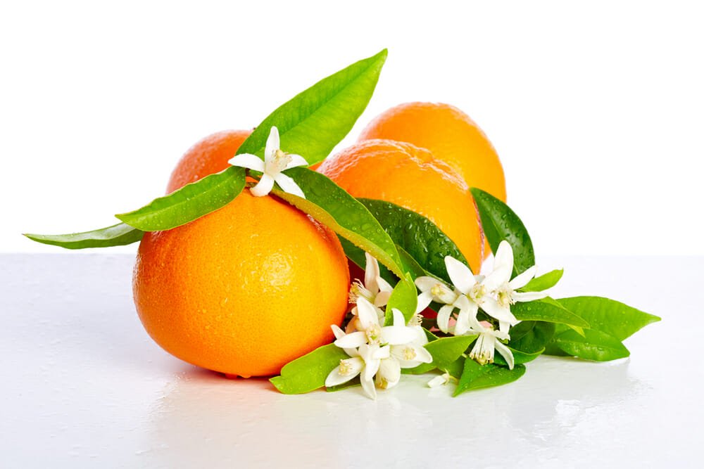 Fiori d'arancio proprietà, significato e utilizzi delle zagare Fiori d'arancio proprietà, significato e utilizzi delle zagare