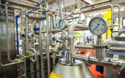 Pastorizzazione: differenze rispetto a sterilizzazione e altre cose da sapere