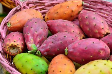 Fico d’India: proprietà, calorie e benefici