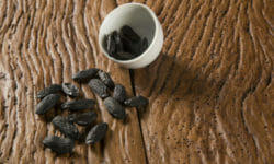 Fava Tonka: il seme cumaru, utilizzo e proprietà