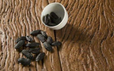 Fava Tonka: il seme cumaru, utilizzo e proprietà