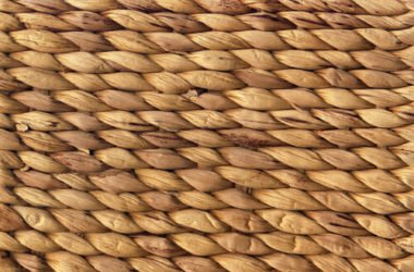 Tutto quello che c’è da sapere sulla rafia, una fibra naturale dai molti utilizzi