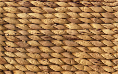 Tutto quello che c’è da sapere sulla rafia, una fibra naturale dai molti utilizzi