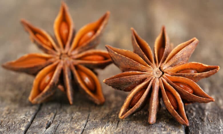 anice stellato Illicium verum