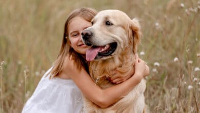 cani per bambini, le razze adatte