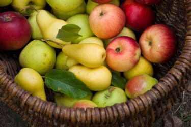 E’ consigliabile mangiare la frutta con la buccia o senza? Ecco come regolarsi
