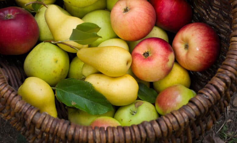 frutta con la buccia o senza