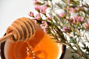 Non tutti i mieli sono uguali: il caso del miele di Manuka, un antibatterico naturale