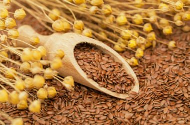Tutto quello che c’è da sapere sui semi oleosi, alimenti amici della salute come pochi altri