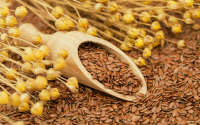 Tutto quello che c’è da sapere sui semi oleosi, alimenti amici della salute come pochi altri