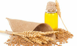 Olio di germe di grano: proprietà e utilizzi in cosmetica ed in cucina