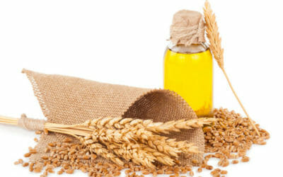 Olio di germe di grano: proprietà e utilizzi in cosmetica ed in cucina