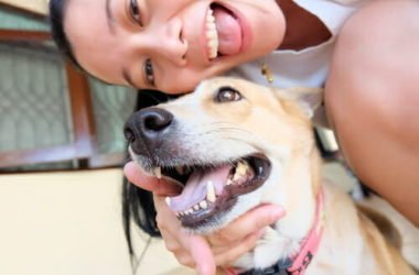 La guida per pulire i denti al cane in modo naturale ed efficace